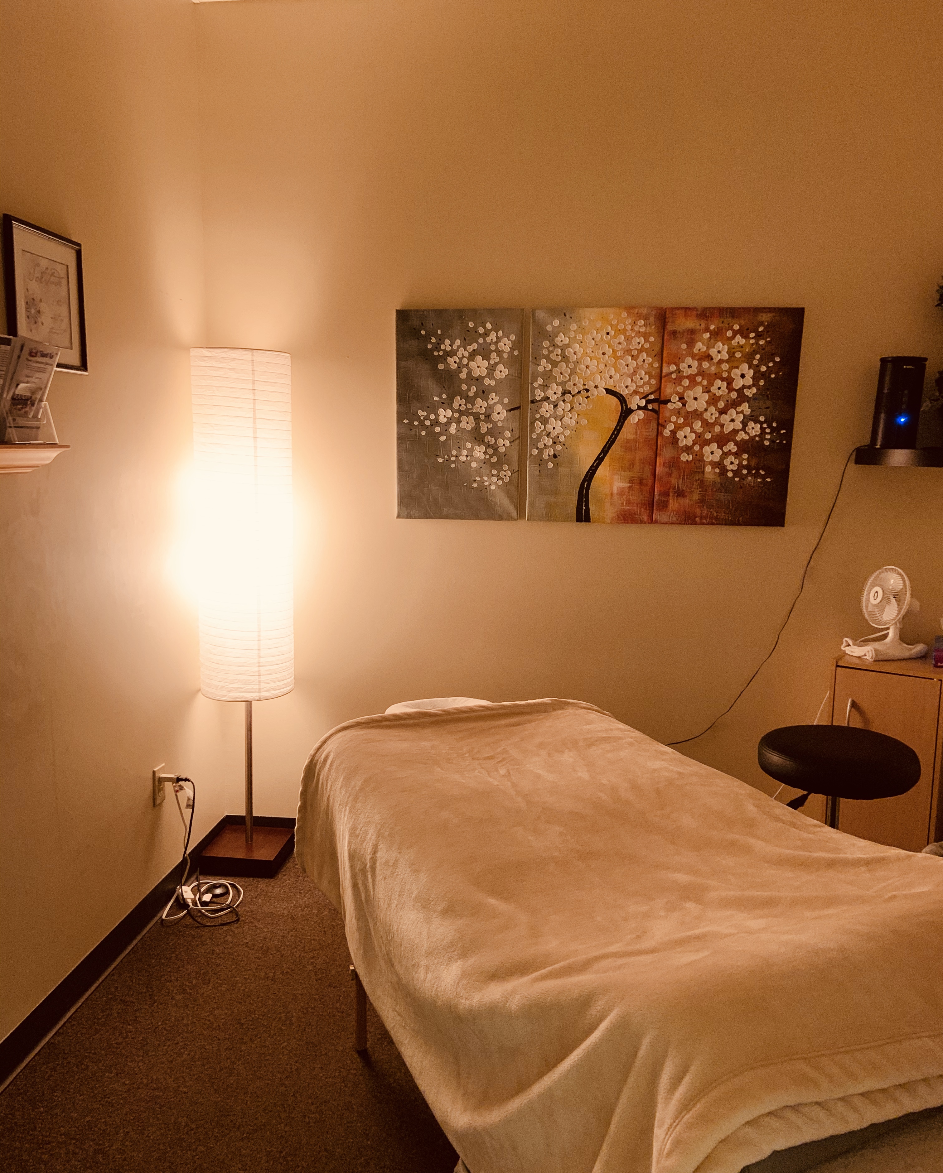 Massage & Acupuncture Treatment Room